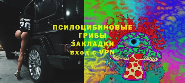 твердый Армянск