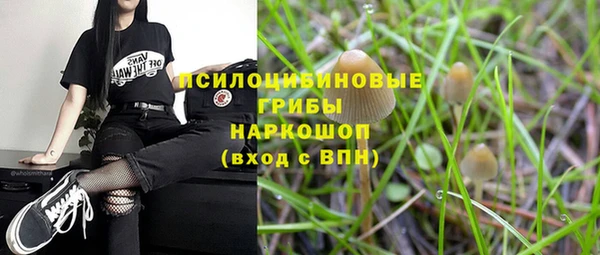 трава Арсеньев